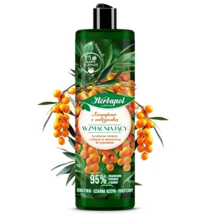 Strengthening 2-in-1 Shampoo & Conditioner – 400 ml | Black Radish, Sea Buckthorn, Plant Proteins