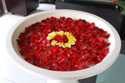 Luxury in Harmony with Nature – How to Choose Eco-Friendly Textiles for Hotels and Premium Apartments