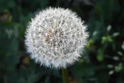 Is It Worth Ironing Towels and Bed Linen in a Hotel? Aesthetics vs. Practicality